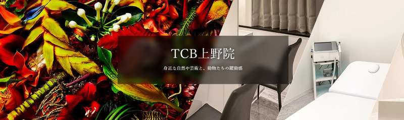 上野のED治療ができるクリニックの紹介「TCB東京中央美容外科上野院」